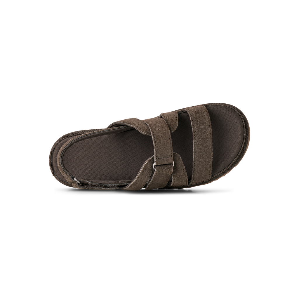 UGG Women's Goldenstar Gleam in Dense Smoke