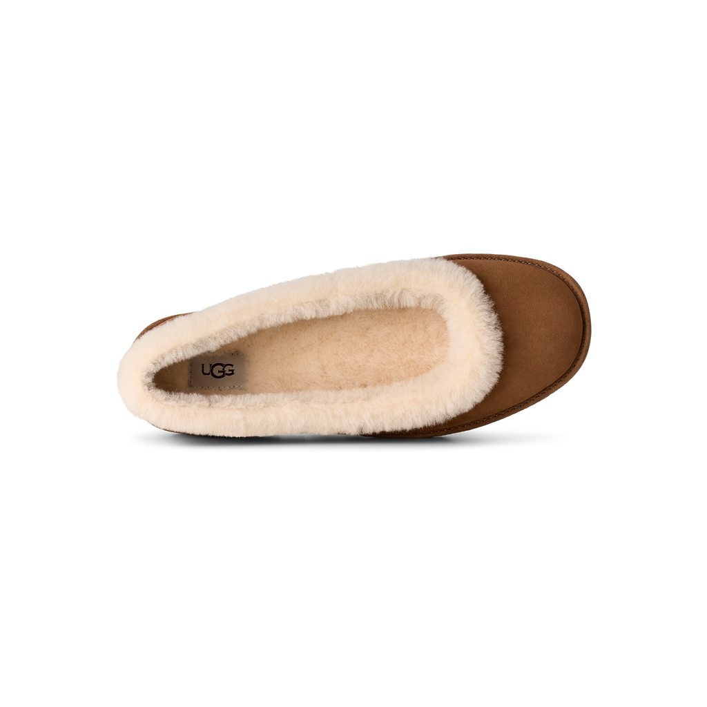 UGG Women's Zora Ballet Flat in Chestnut