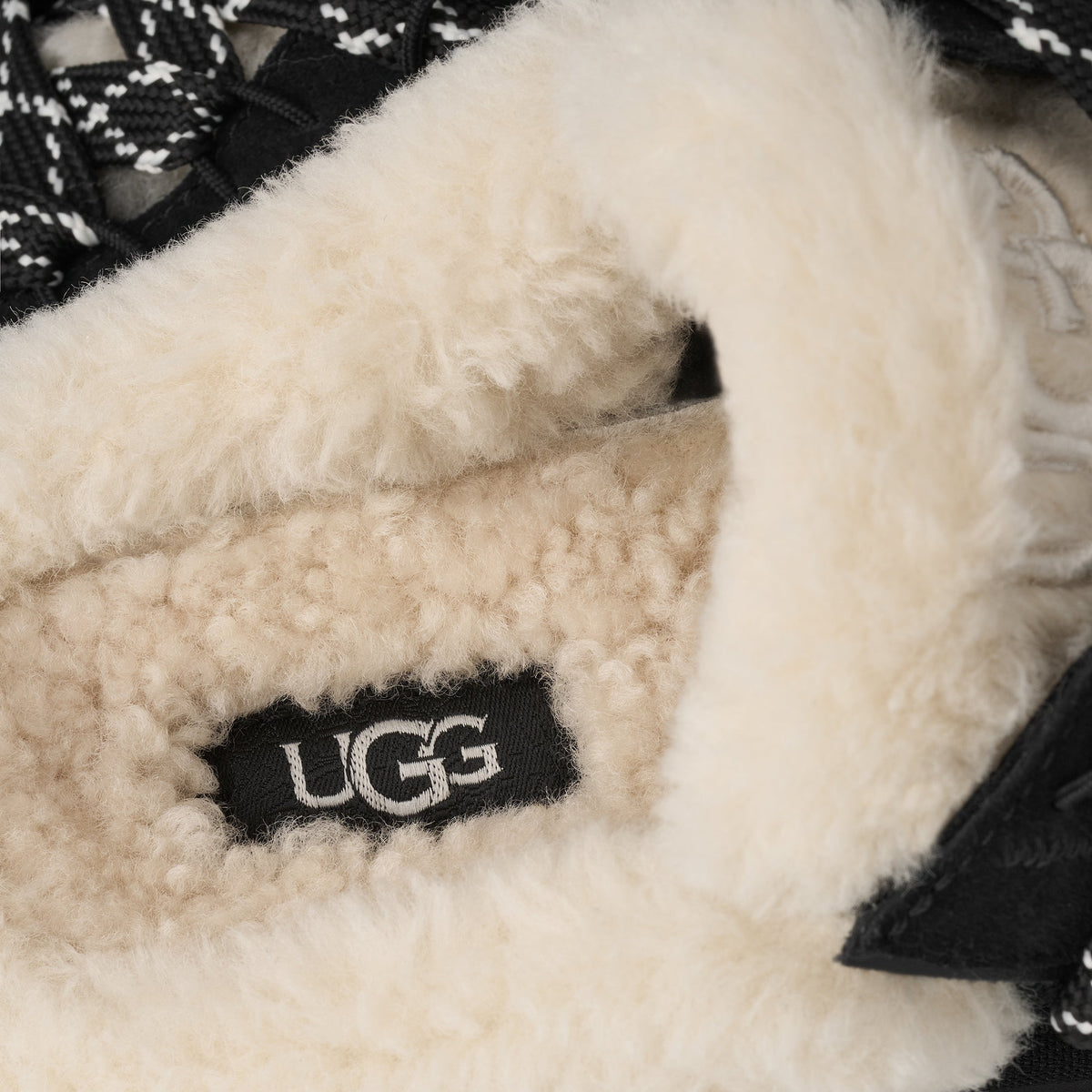 UGG Women's Lowmel Mule