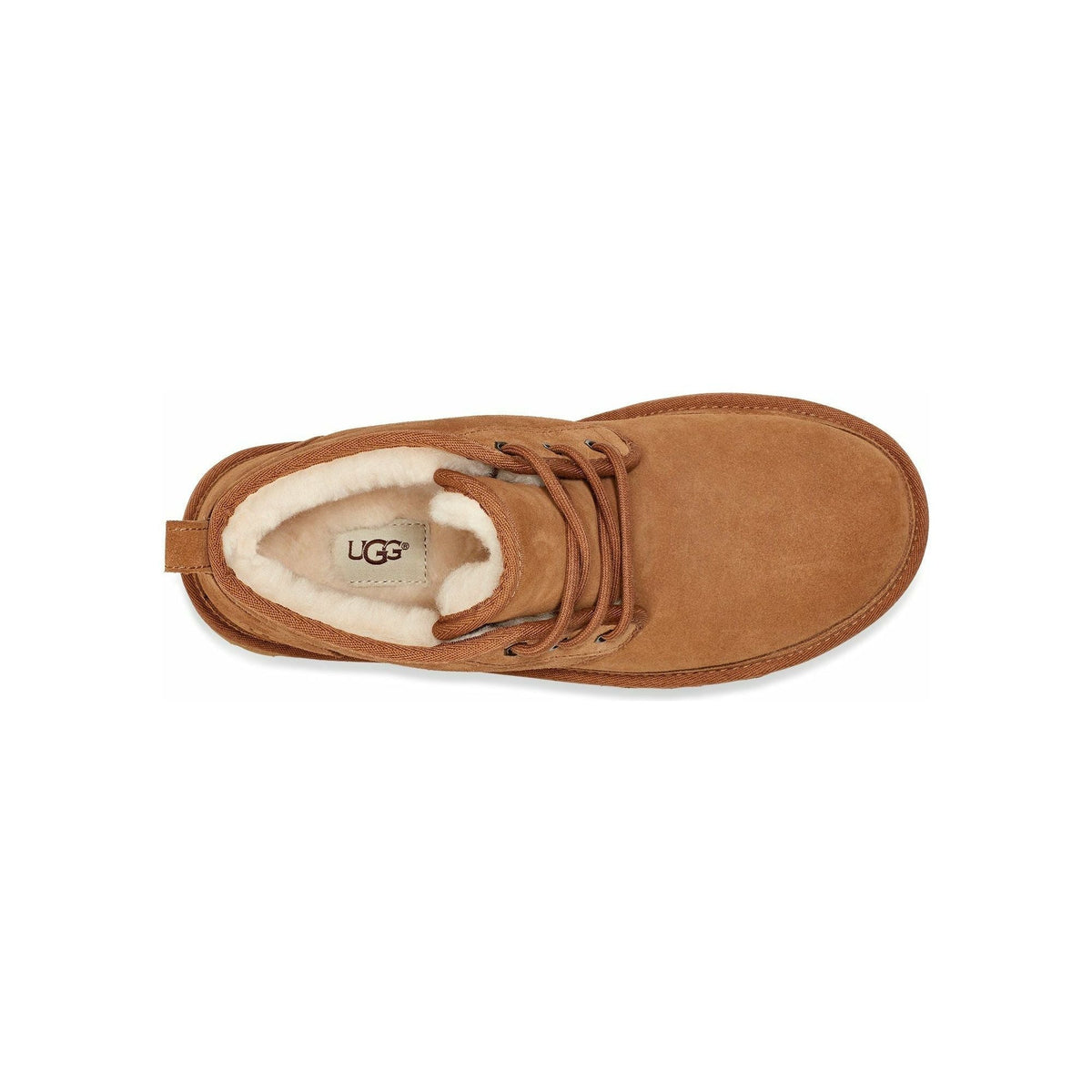 UGG Men's Neumel Boot in Chestnut