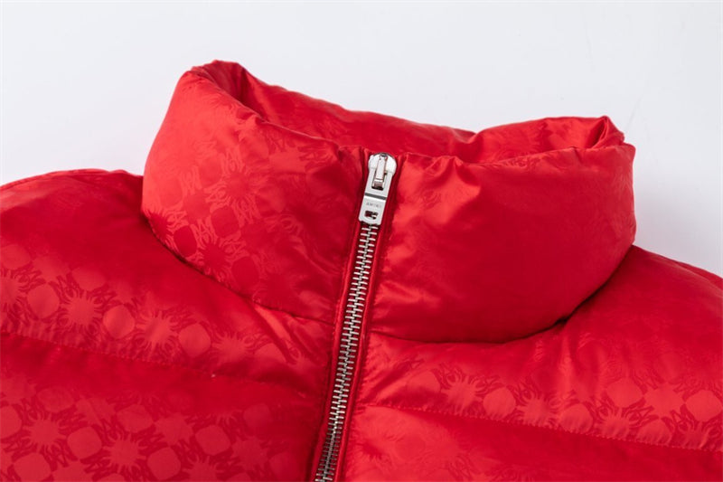 ICON Amiri Fashion Down jacket