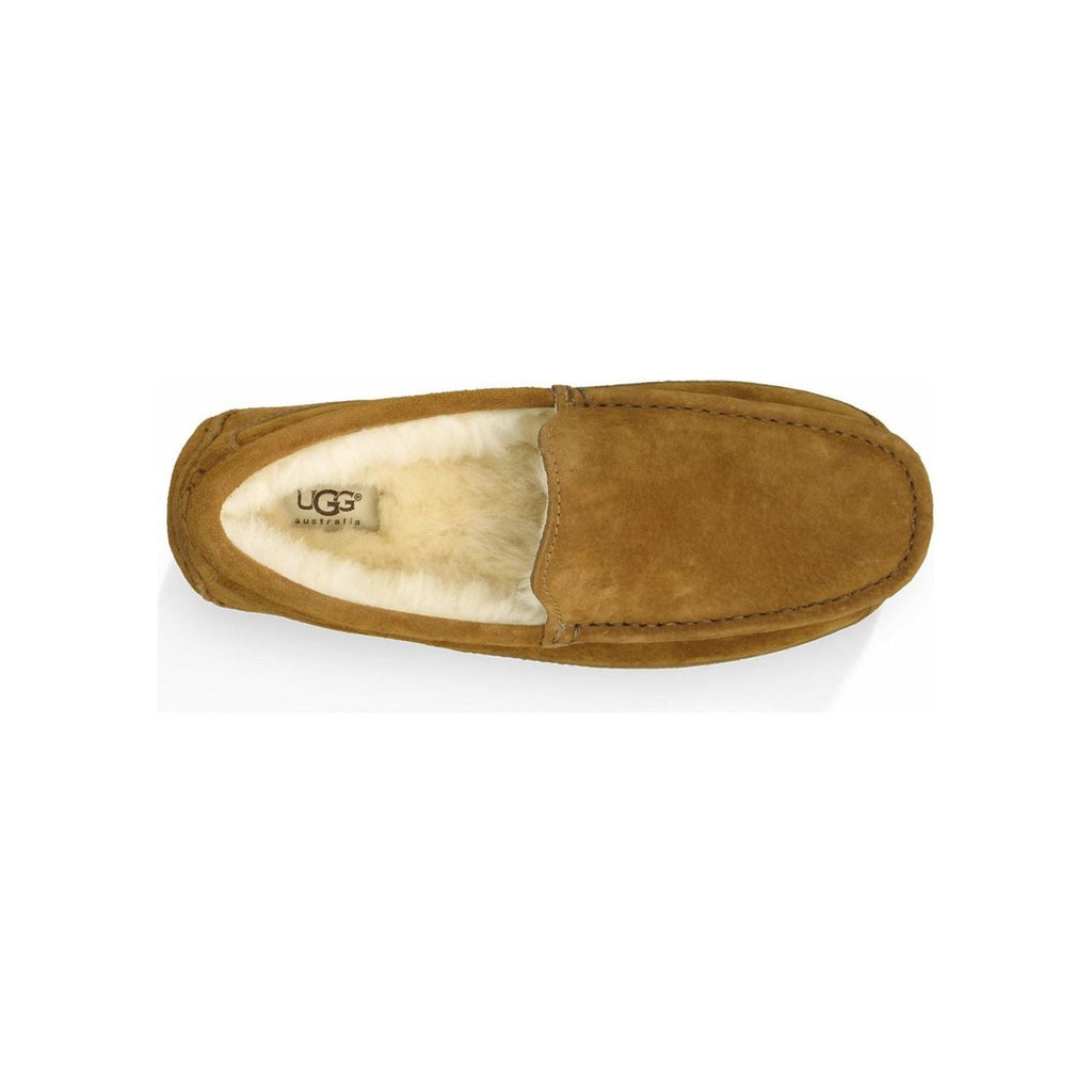 UGG Men's Ascot Slipper in Chestnut